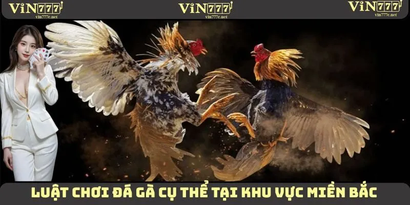 Đá Gà VIN777 - Luật Chơi Chi Tiết Phân Biệt Theo Vùng Miền 1 Luật chơi đá gà cụ thể tại khu vực miền Bắc
